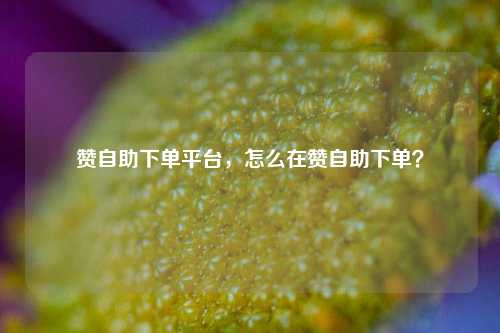 赞自助下单平台，怎么在赞自助下单？