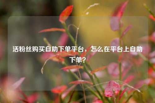 活粉丝购买自助下单平台，怎么在平台上自助下单？
