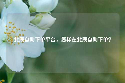 北辰自助下单平台，怎样在北辰自助下单？