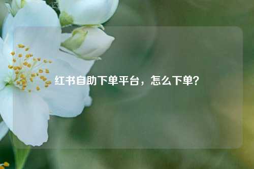 红书自助下单平台，怎么下单？
