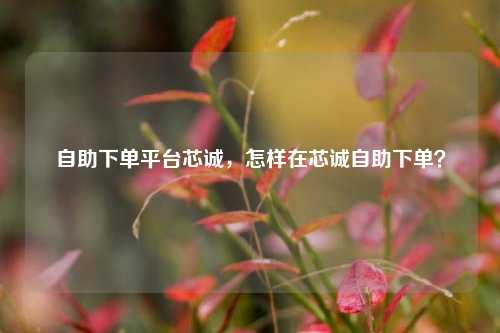 自助下单平台芯诚，怎样在芯诚自助下单？