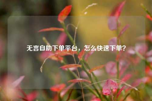 无言自助下单平台，怎么快速下单？