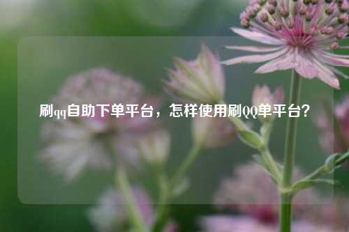 刷qq自助下单平台，怎样使用刷QQ单平台？