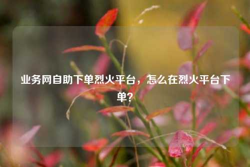 业务网自助下单烈火平台，怎么在烈火平台下单？