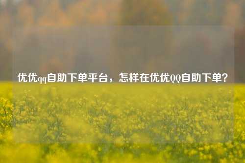 优优qq自助下单平台，怎样在优优QQ自助下单？