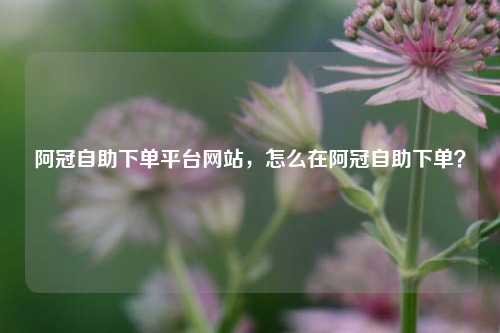 阿冠自助下单平台网站，怎么在阿冠自助下单？