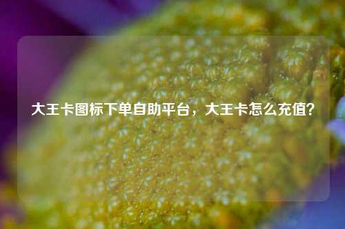 大王卡图标下单自助平台，大王卡怎么充值？