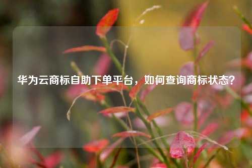 华为云商标自助下单平台，如何查询商标状态？