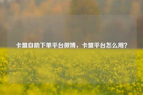 卡盟自助下单平台微博，卡盟平台怎么用？
