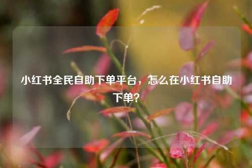 小红书全民自助下单平台，怎么在小红书自助下单？