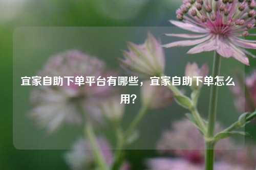 宜家自助下单平台有哪些，宜家自助下单怎么用？