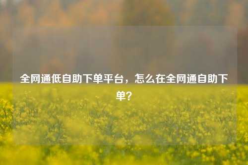 全网通低自助下单平台，怎么在全网通自助下单？
