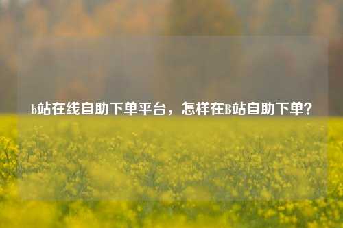 b站在线自助下单平台，怎样在B站自助下单？