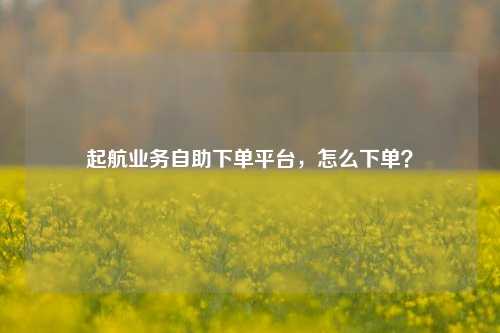 起航业务自助下单平台，怎么下单？