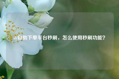 dy自助下单平台秒刷，怎么使用秒刷功能？