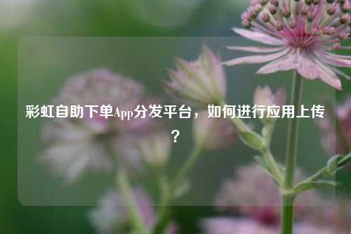 彩虹自助下单App分发平台，如何进行应用上传？