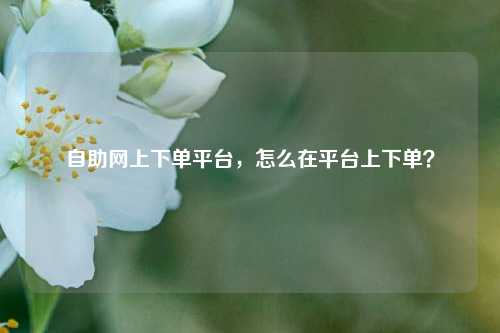 自助网上下单平台，怎么在平台上下单？